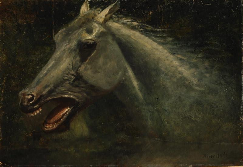 Albert Bierstadt (103)