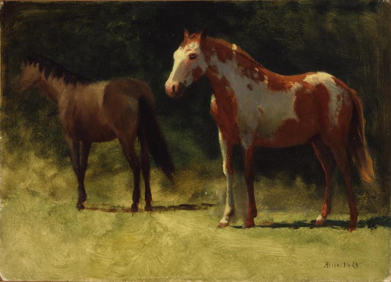 Albert Bierstadt (107)