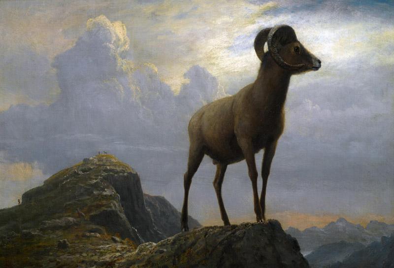 Albert Bierstadt (121)