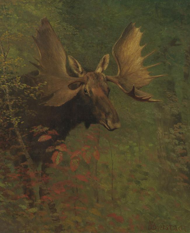 Albert Bierstadt (150)