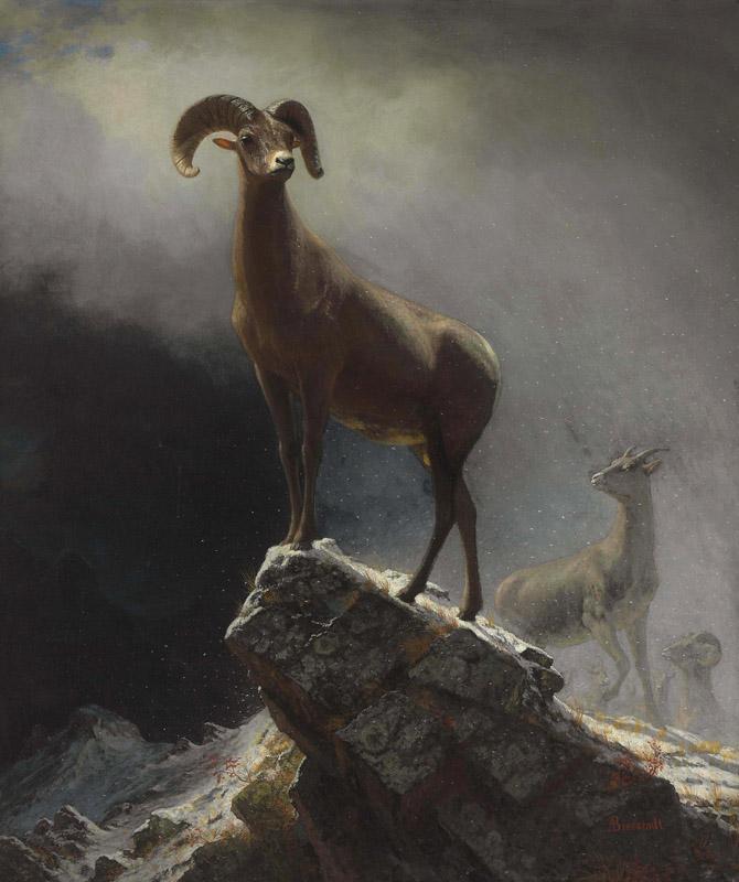 Albert Bierstadt (181)
