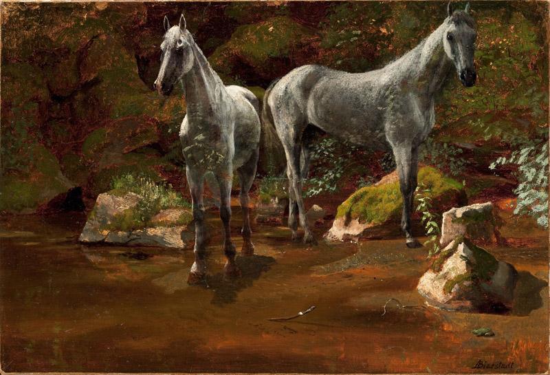 Albert Bierstadt (199)