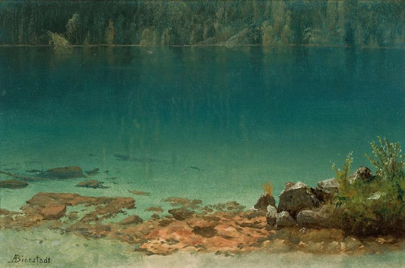 Albert Bierstadt (207)