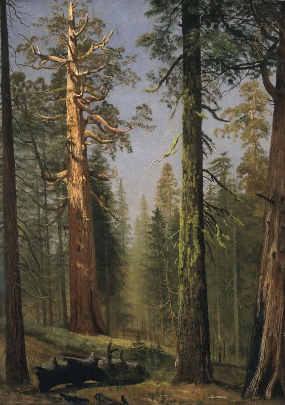 Albert Bierstadt - The Grizzly Giant Sequoia, Mariposa Grove, California