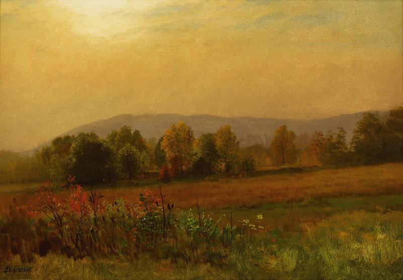 Albert Bierstadt(220)