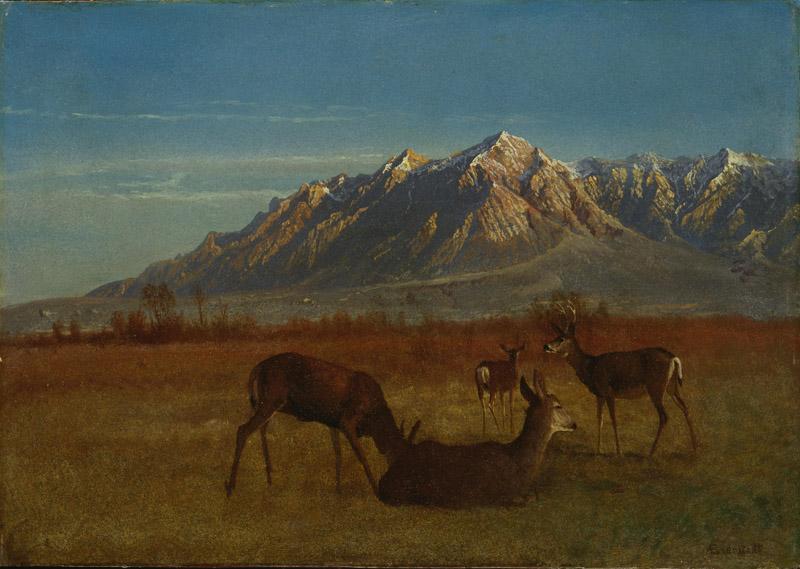 Albert Bierstadt(97)