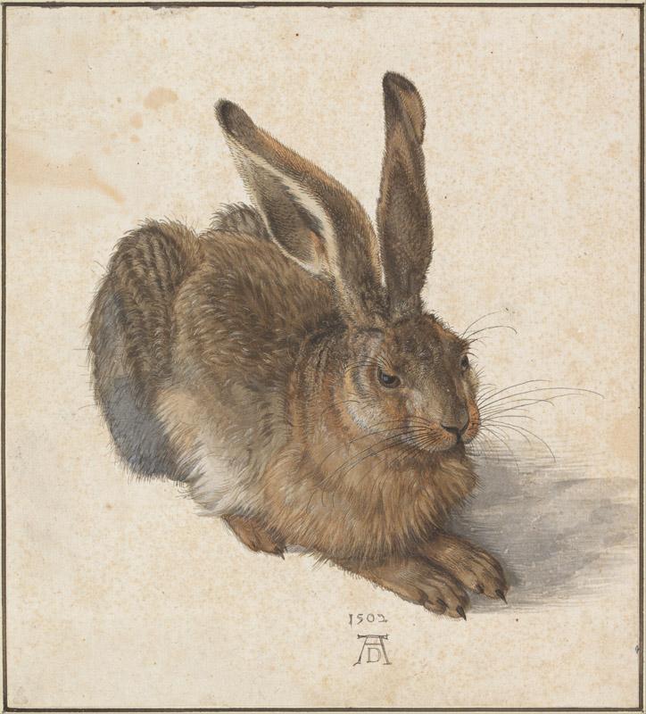 Albrecht Durer (1471-1528)-Hare, 1502