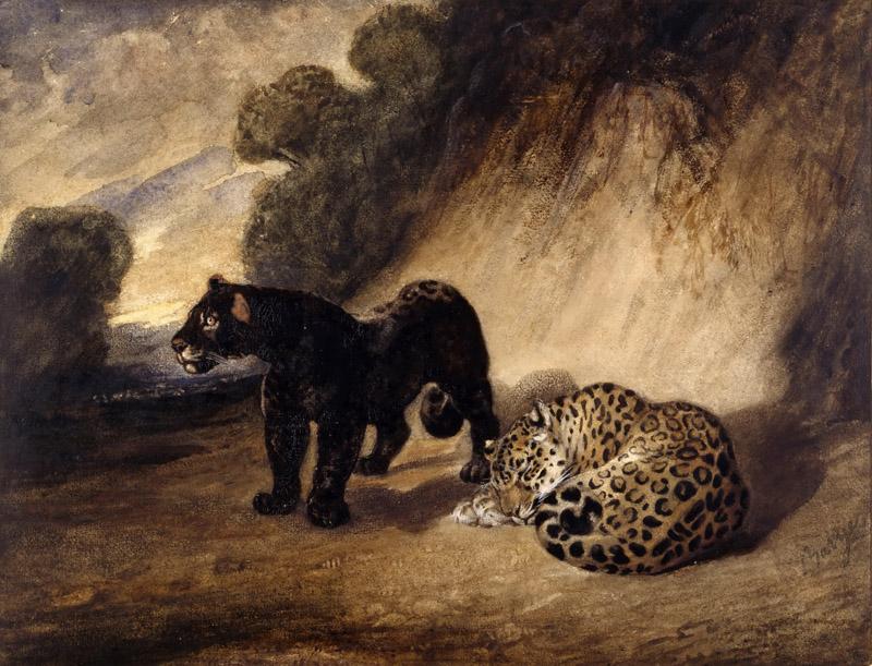 Antoine-Louis Bayre -- Two Peruvian Leopards
