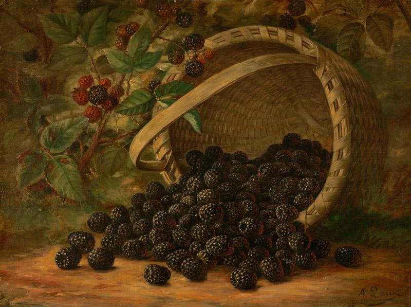 August Laux - Blackberries, ca. 1880