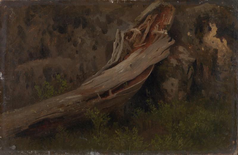 August Cappelen - Study of a decaying Trunk