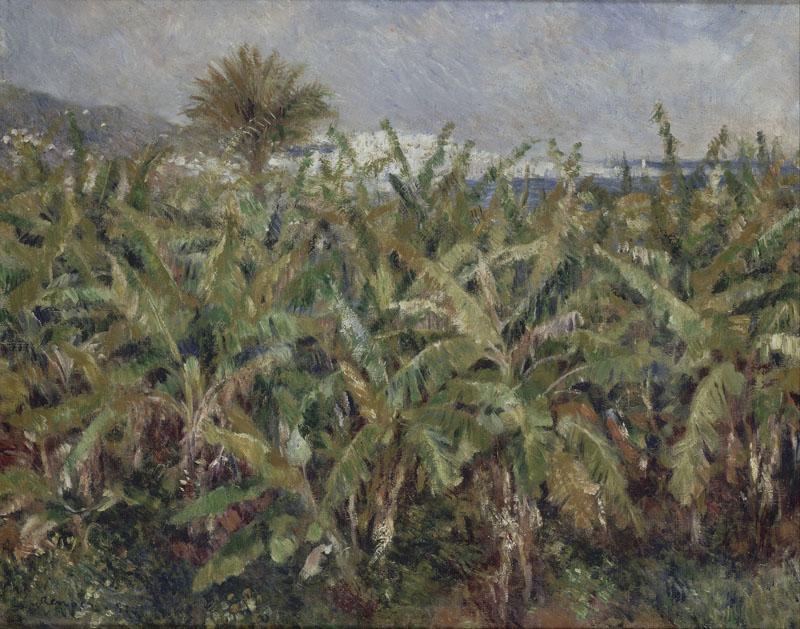 Auguste Renoir -Field of Banana Trees