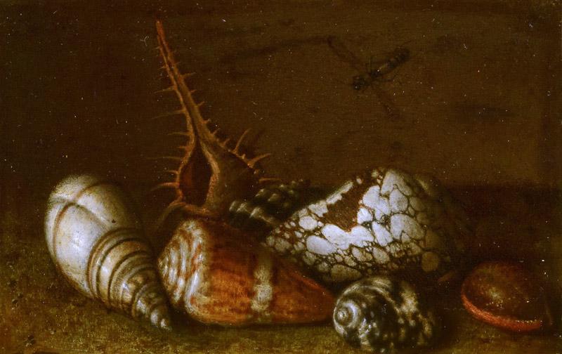 Balthasar van der Ast - Shells on a Table
