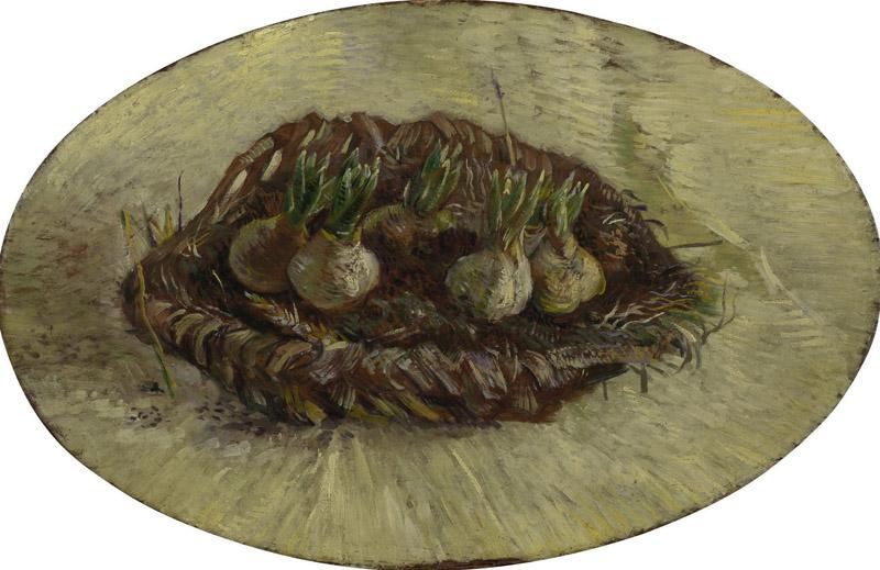 Basket of Hyacinth Bulbs