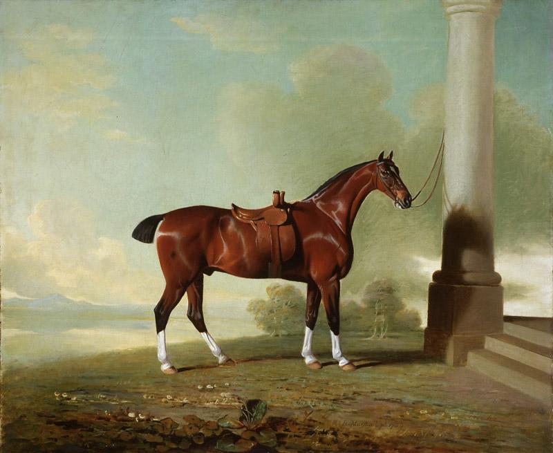 Benjamin Marshall, English, 1768-1835 -- Favorite Chestnut Hunter of Lady Frances Stephens ne Lady Frances Pierrepont