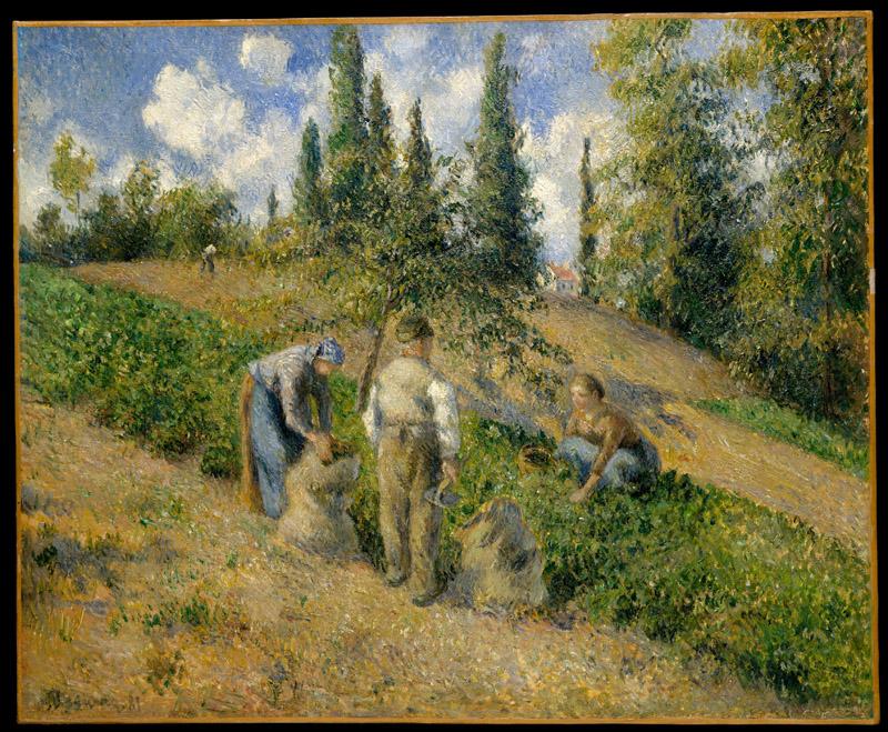 Camille Pissarro--The Harvest, Pontoise (La Recolte, Pontoise)