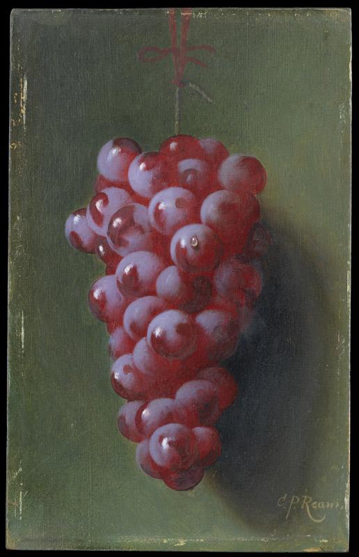 Carducius Plantagenet Ream--Still Life with Grapes