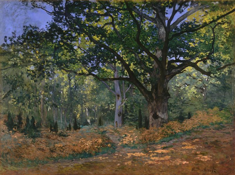 Claude Monet - The Bodmer Oak, Fontainebleau Forest