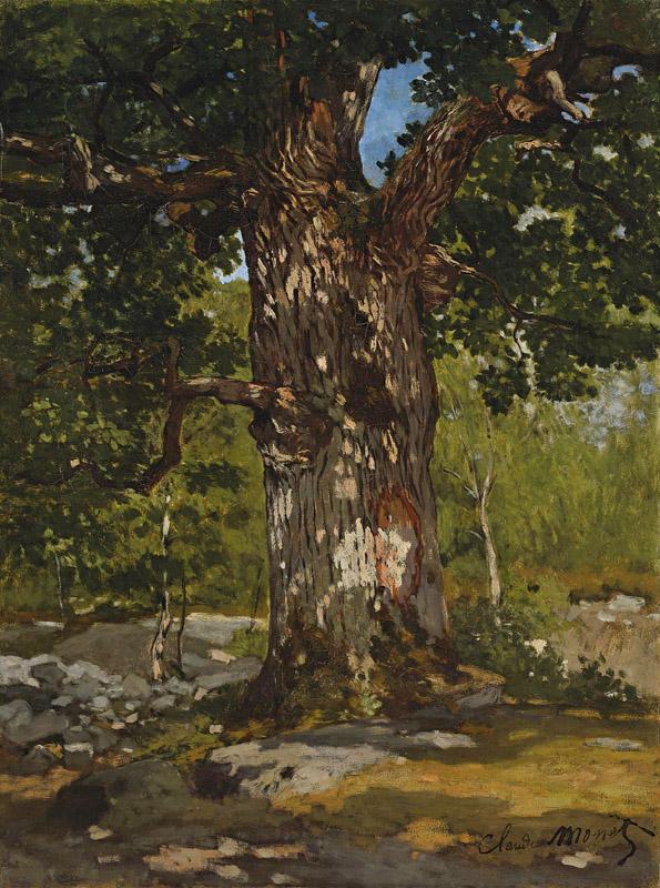Claude Monet 048 (4)