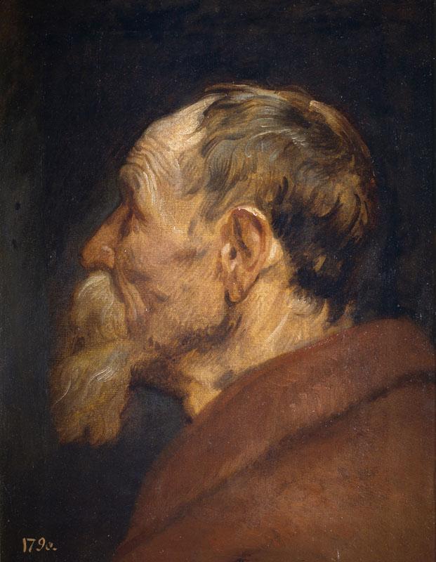 Dyck, Antonio van-Cabeza de anciano-45 cm x 34 cm