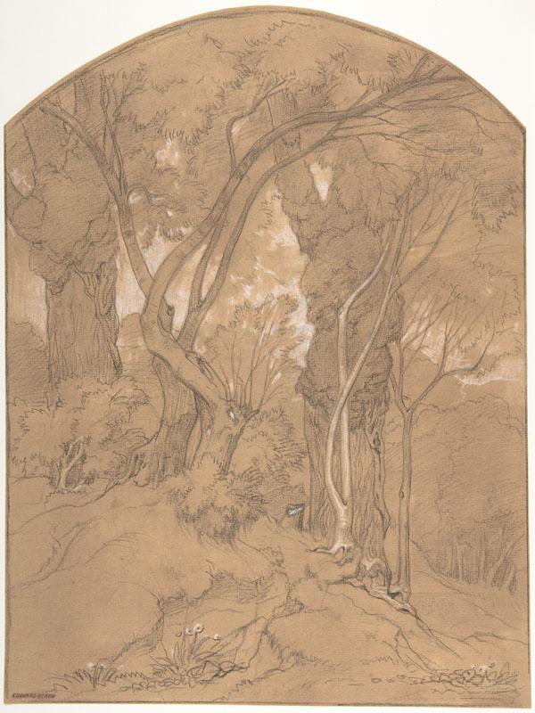 Edouard Bertin--Trees in a Forest
