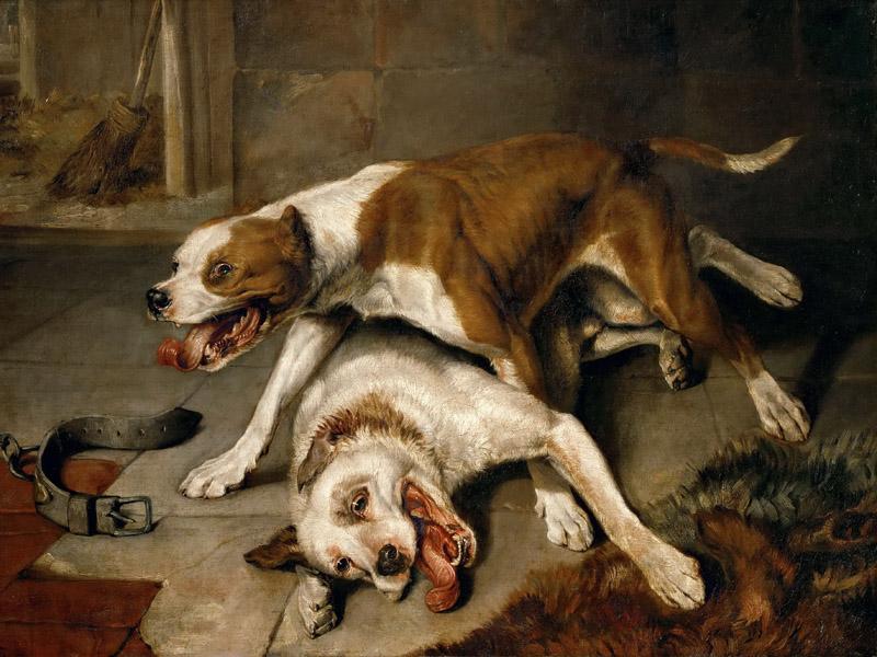 Edwin Landseer (1802-1873) -- Fighting Dogs