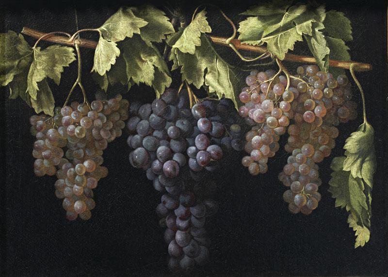 Fernandez el Labrador, Juan-Bodegon con cuatro racimos de uvas-44 cm x 61 cm