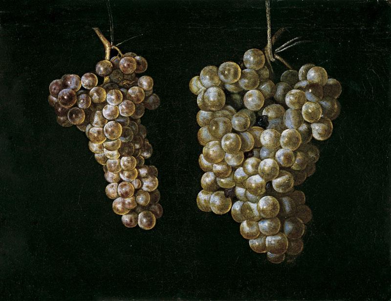 Fernandez el Labrador, Juan-Bodegon con dos racimos de uvas-29 cm x 38 cm