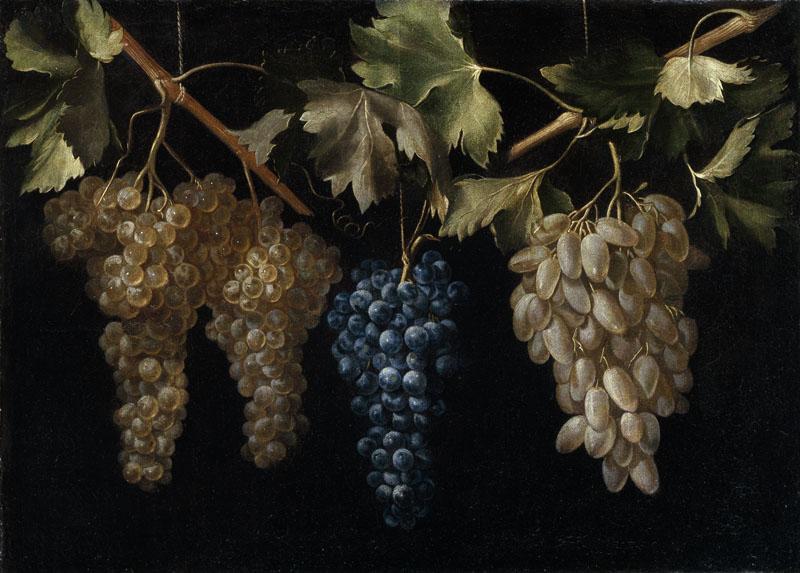 Fernandez el Labrador, Juan-Cuatro racimos de uvas colgando-45 cm x 61 cm