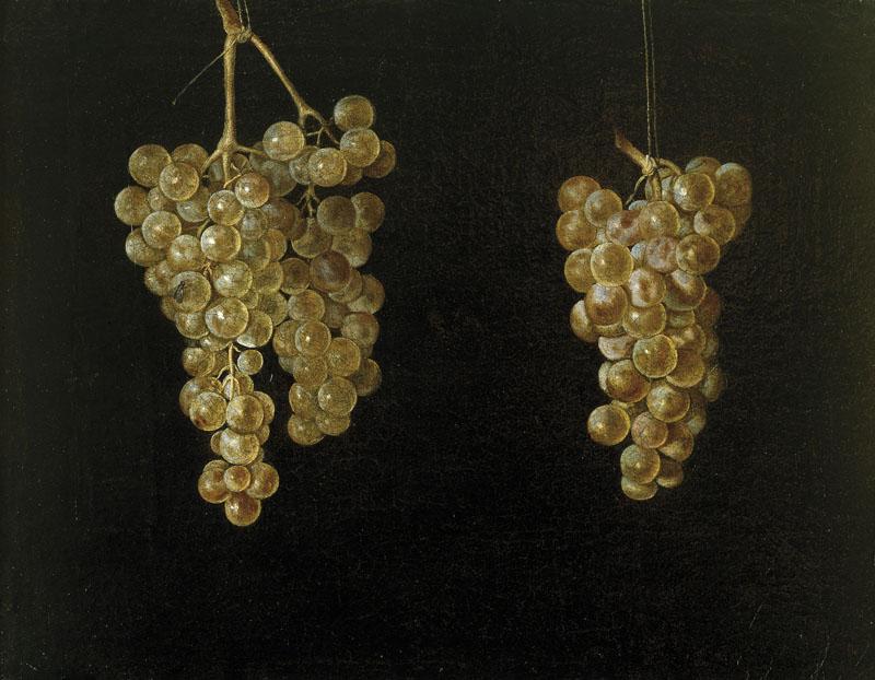 Fernandez el Labrador, Juan-Dos racimos de uvas colgando con mosca-29 cm x 38 cm