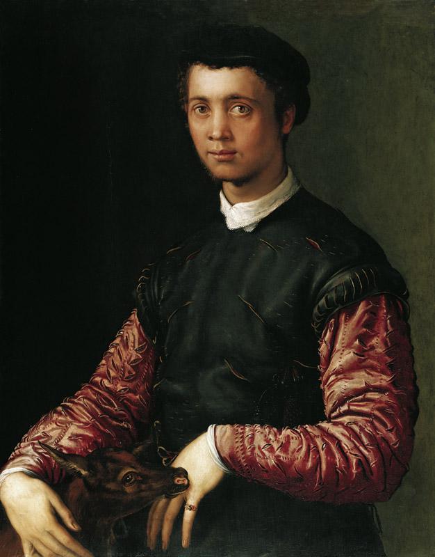 Francesco Salviati - Portrait of a Young Man, after 1548 d