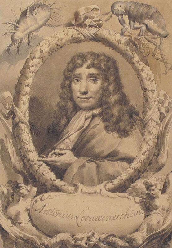 Gaetano Gandolfi--The Dutch Microscopist Anton van Leeuwenhoek
