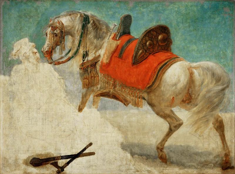 Gros, Antoine-Jean -- Etude de cheval arabe harnache
