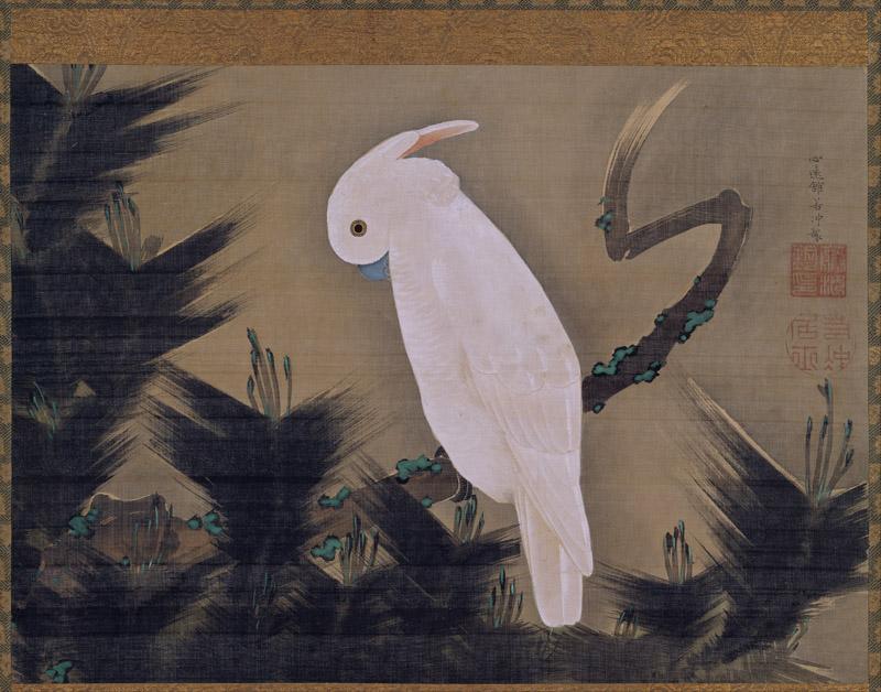 Ito Jakuchu - White Cockatoo on a Pine Branch