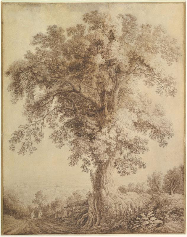 Jacob Philipp Hackert--A Large Tree at Albano