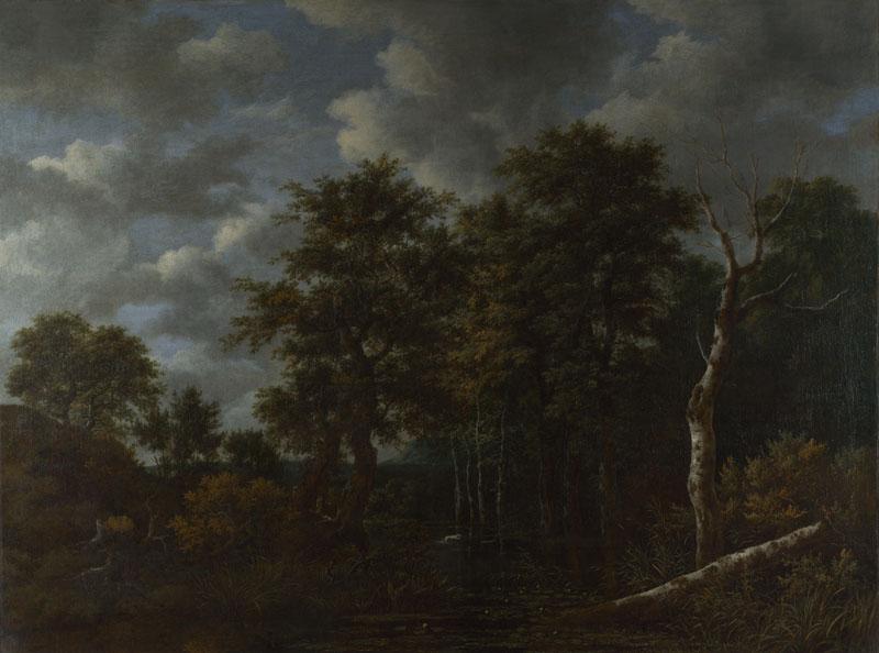 Jacob van Ruisdael - A Pool surrounded by Trees