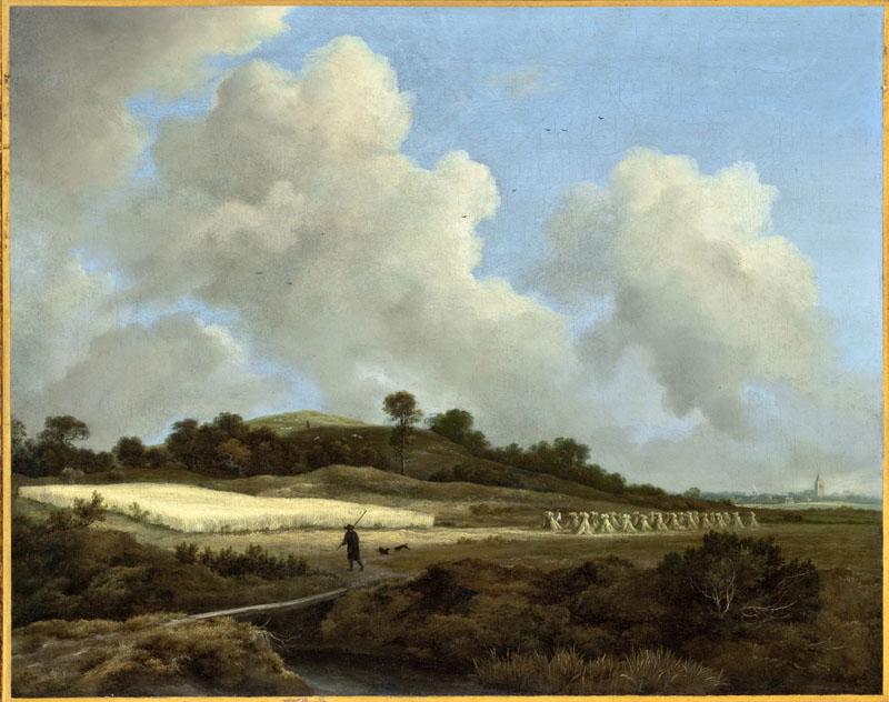 Jacob van Ruisdael - View of Grainfields with a Distant Town