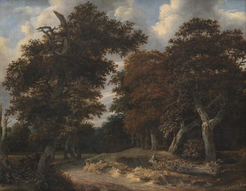 Jacob Isaacksz van Ruisdael - Road through an Oak Forest