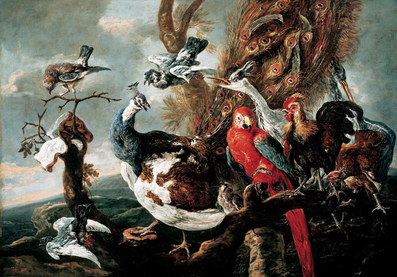 Jan Fyt - Concert of Birds, 1658