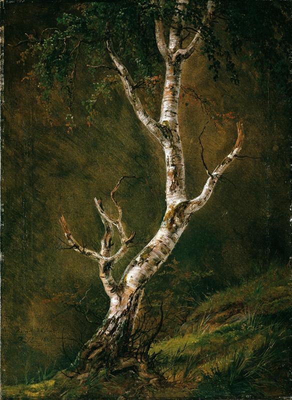 Johan Christian Dahl - Study of a Birch Tree