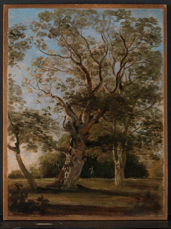 Johann Georg von Dillis--Beech Trees in the English Garden, Munich