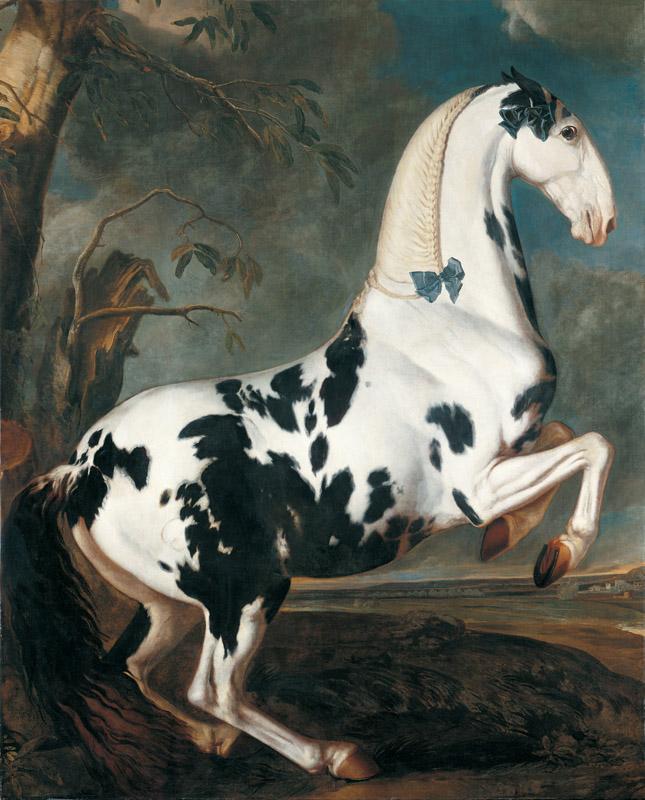 Johann Georg von Hamilton - Portrait of a dappled horse from the stud at Eisgrub performing the L