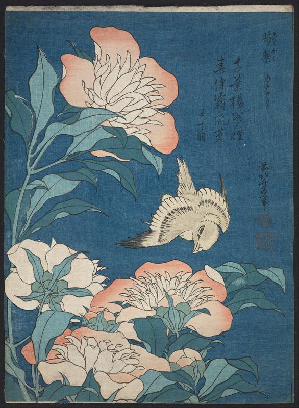 Katsushika Hokusai, published by Nishimuraya Yohachi (Eijudo) - Peonies and Canary