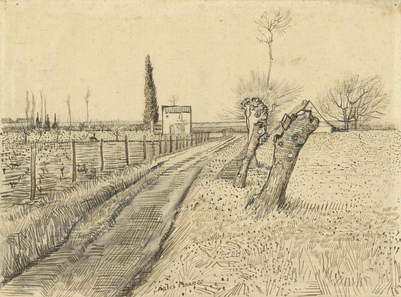 Landscape with Path and Pollard Trees
