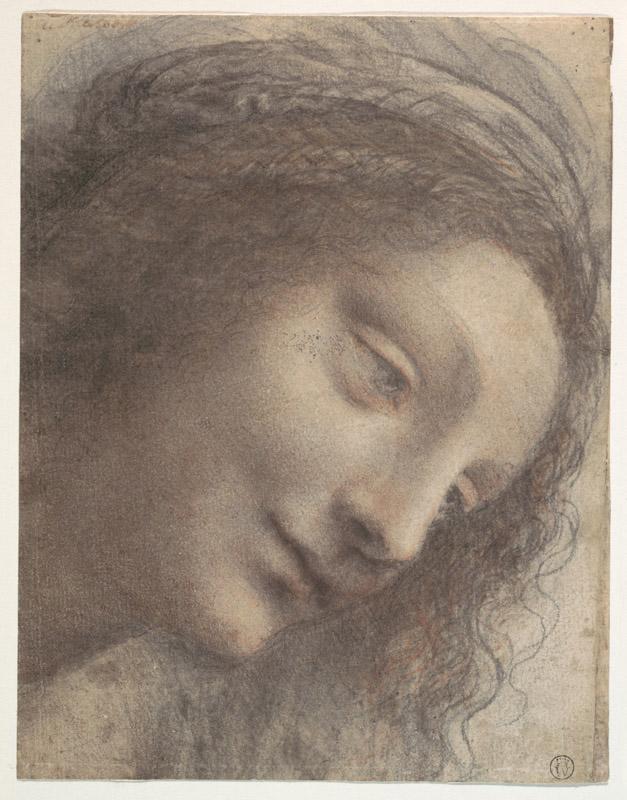 Leonardo di ser Piero da Vinci047