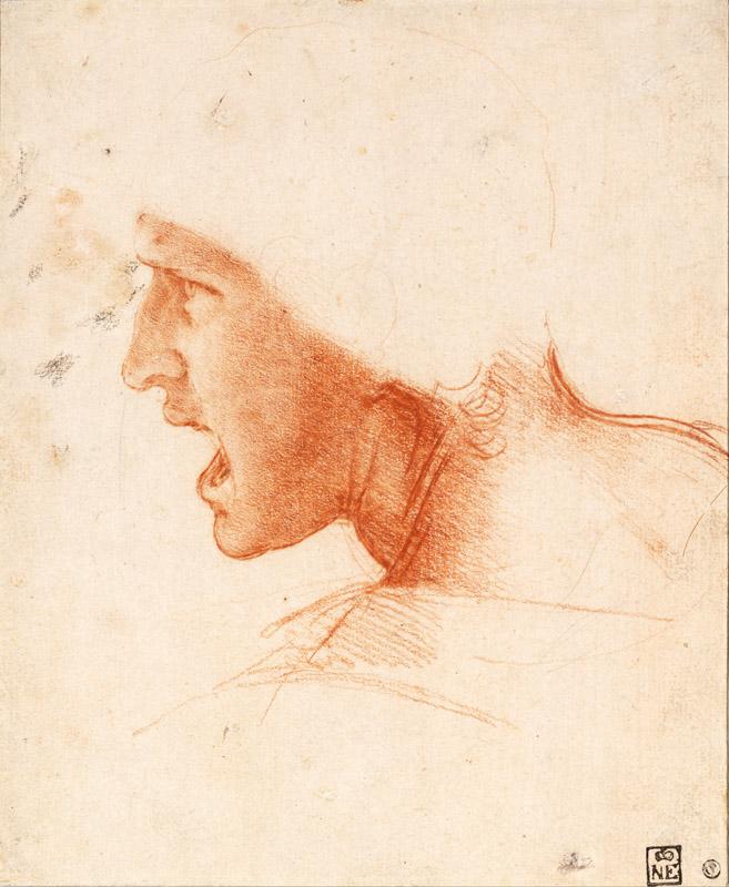 Leonardo di ser Piero da Vinci070