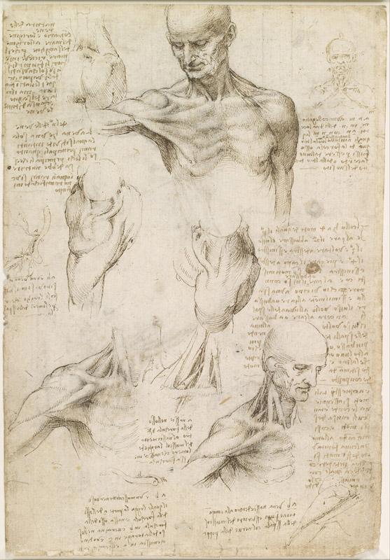 Leonardo di ser Piero da Vinci082
