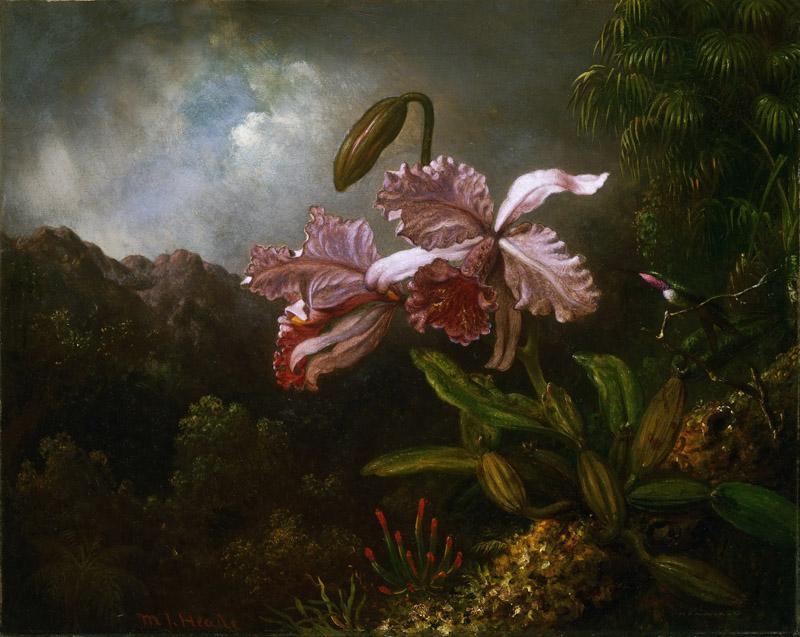 Martin Johnson Heade, American, 1819-1904 -- Orchids in a Jungle