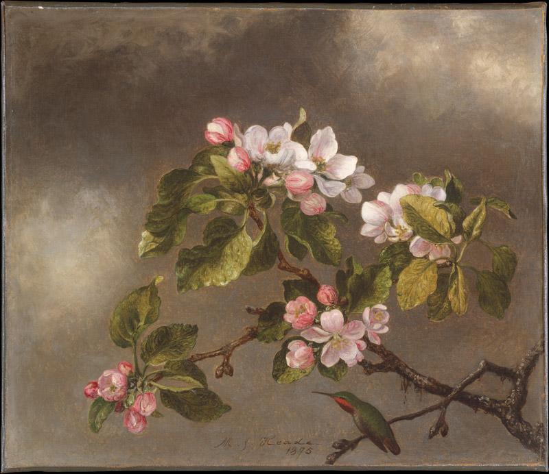 Martin Johnson Heade--Hummingbird and Apple Blossoms