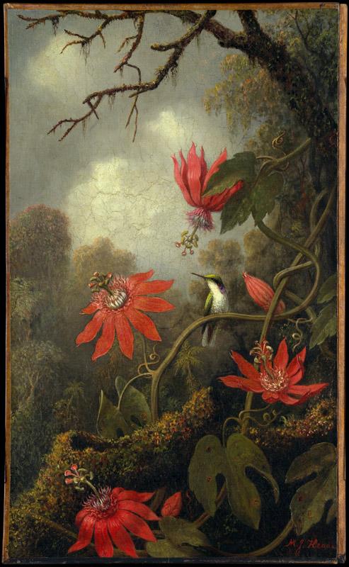 Martin Johnson Heade--Hummingbird and Passionflowers
