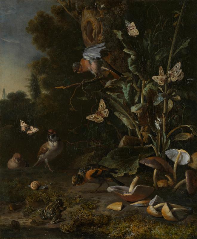 Melchior d Hondecoeter - Birds, Butterflies and a Frog among Plants and Fungi